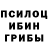 Галлюциногенные грибы Magic Shrooms Sebastian Quezada