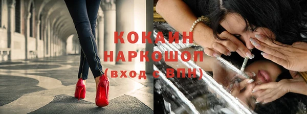 ГАЛЛЮЦИНОГЕННЫЕ ГРИБЫ Касимов
