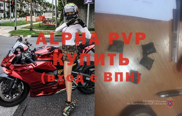 ГАЛЛЮЦИНОГЕННЫЕ ГРИБЫ Касимов